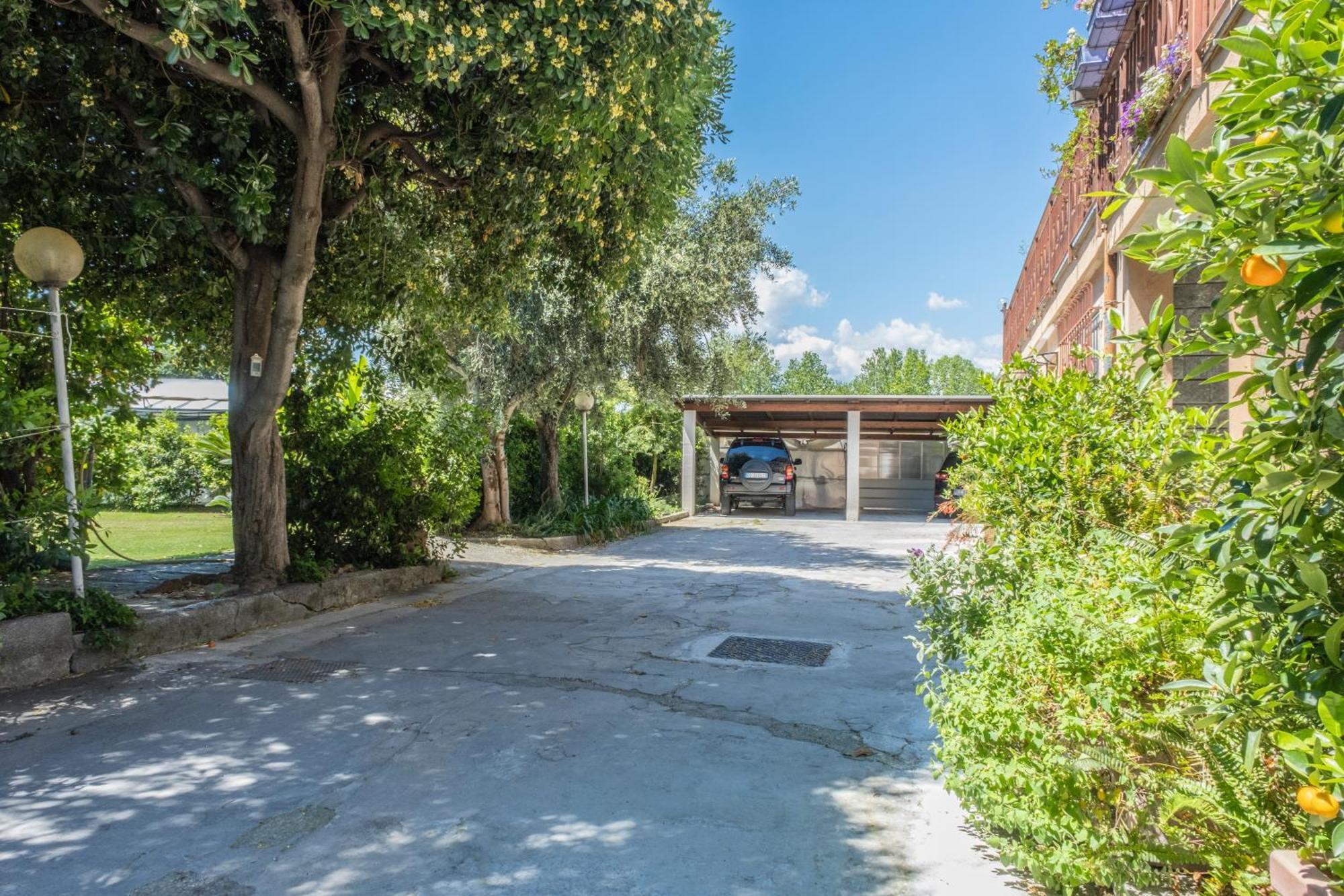 Agriturismo Giorgi Appartamenti In Riviera Ligure 알벤가 외부 사진