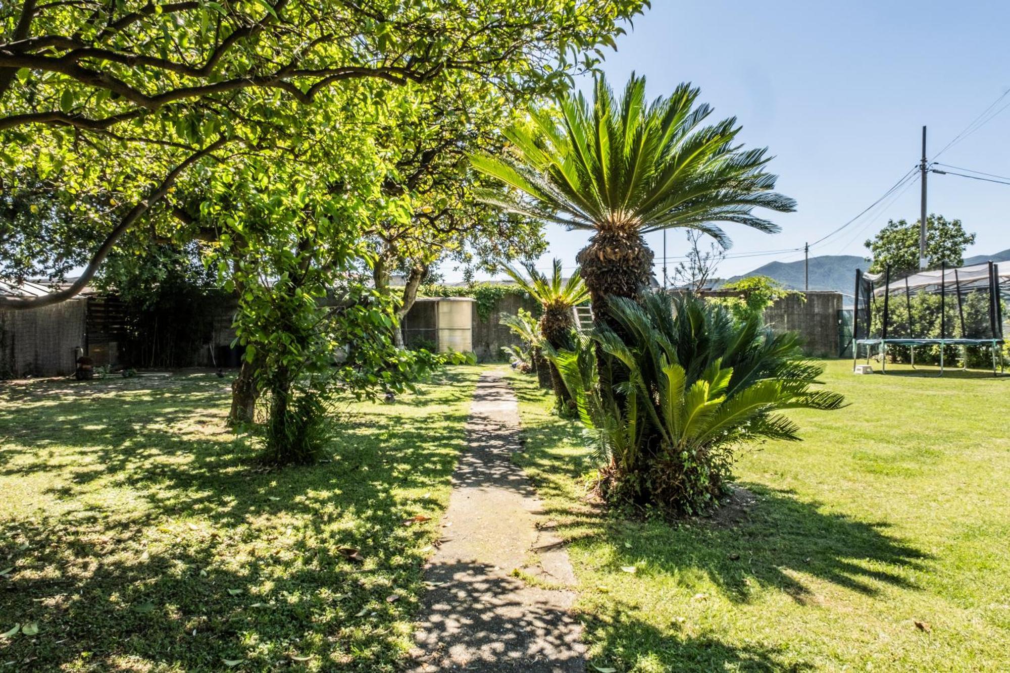 Agriturismo Giorgi Appartamenti In Riviera Ligure 알벤가 외부 사진