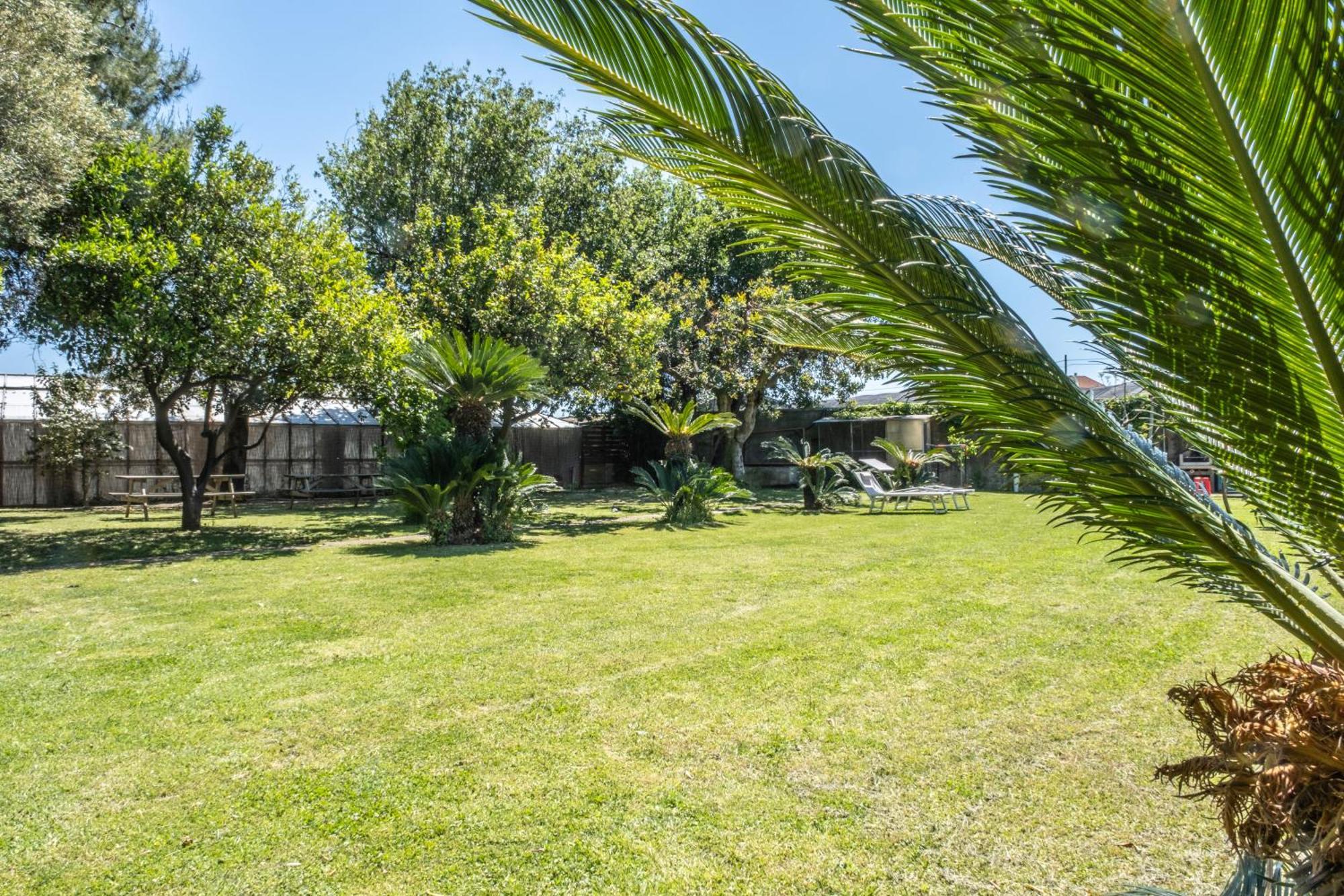 Agriturismo Giorgi Appartamenti In Riviera Ligure 알벤가 외부 사진