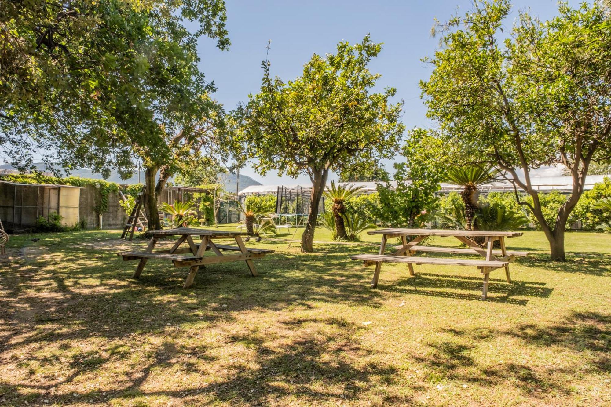 Agriturismo Giorgi Appartamenti In Riviera Ligure 알벤가 외부 사진