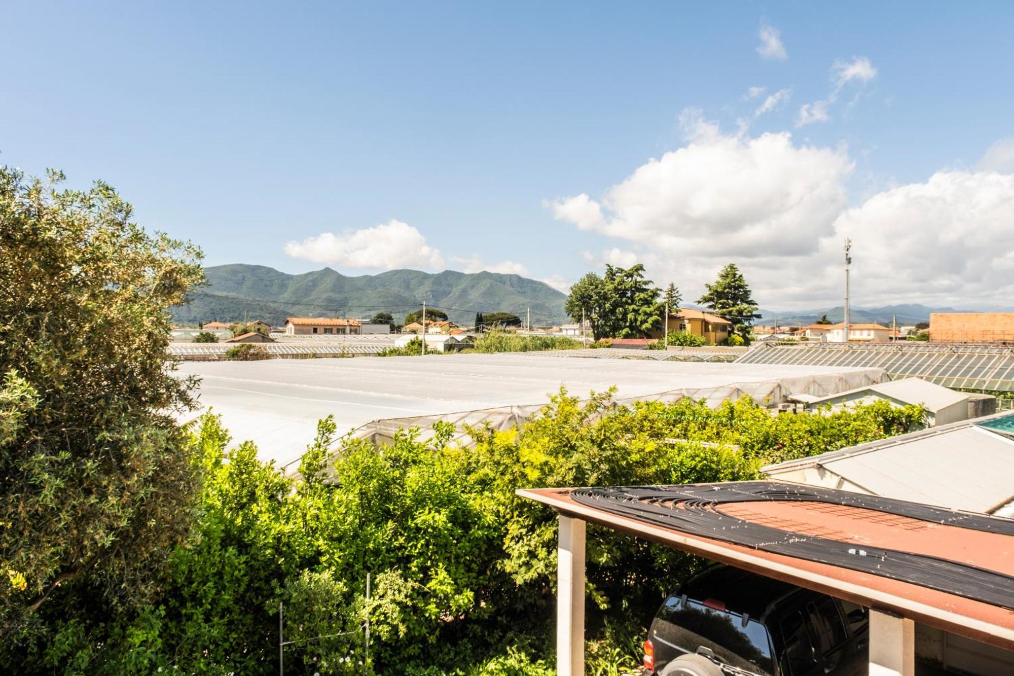 Agriturismo Giorgi Appartamenti In Riviera Ligure 알벤가 외부 사진